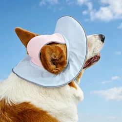 Sombrero para perro con protección solar transpirable todo el año