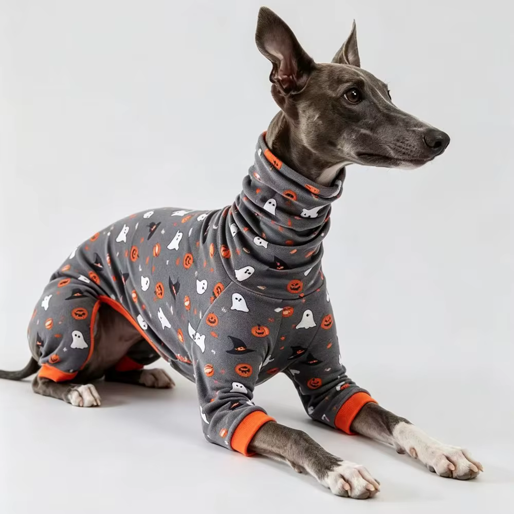 Sudadera cálida de calabaza Halloween para galgos y Whippets - imagen 3