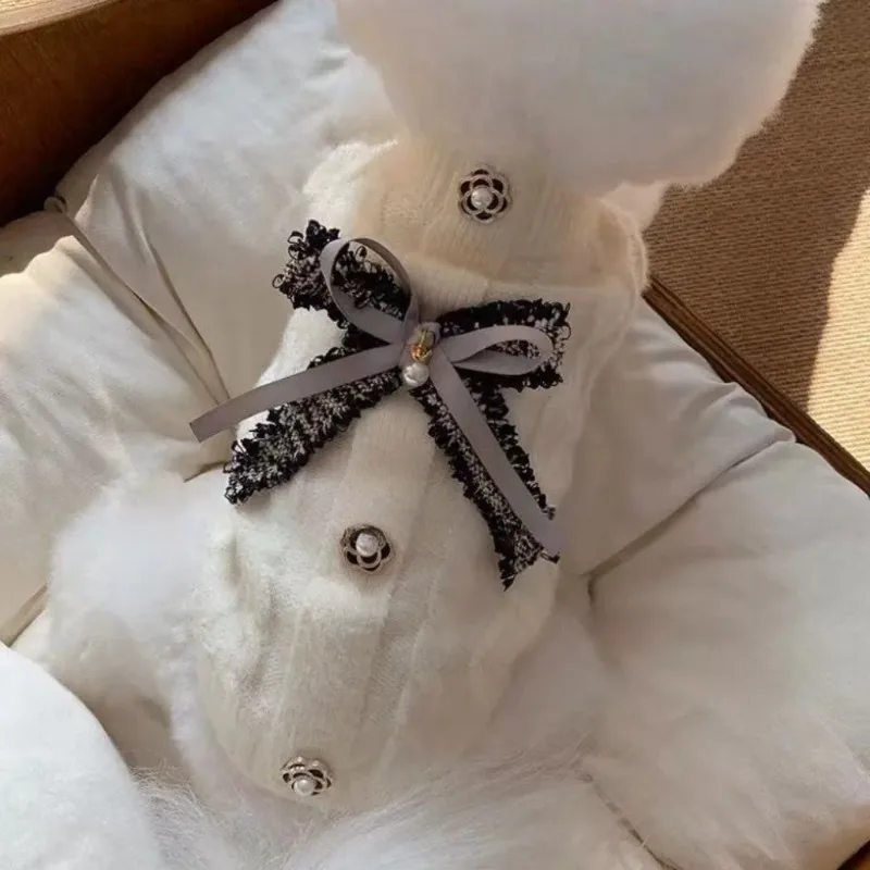 Ositos de peluche vestidos con suéteres variados