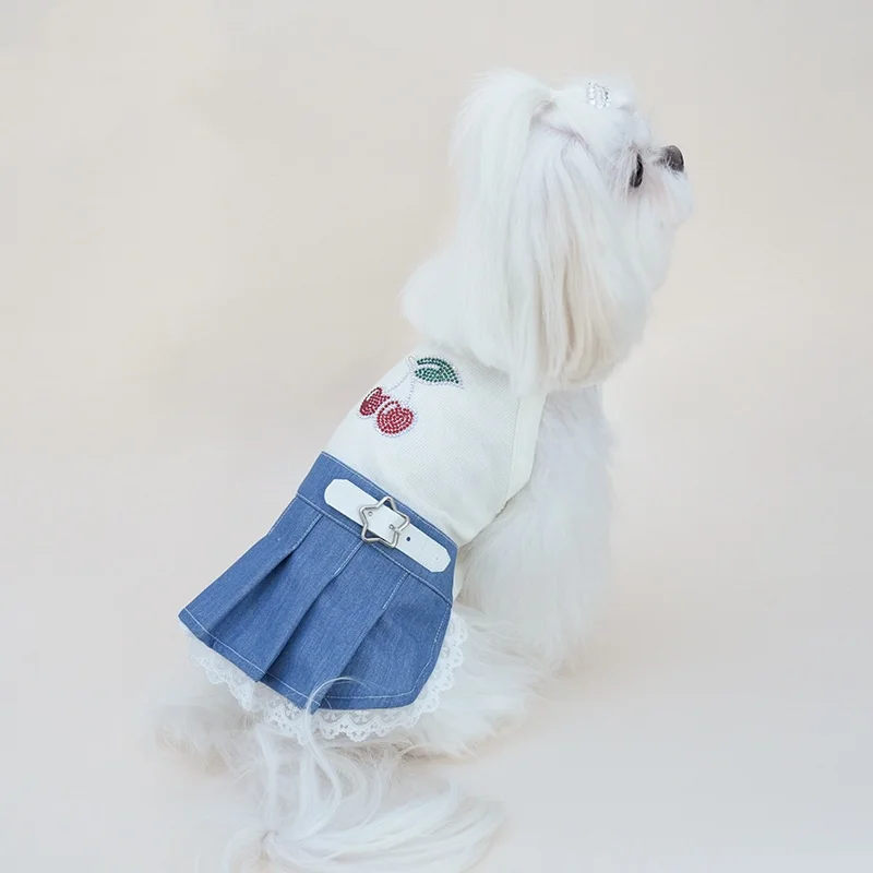 Detalle de pedrería cereza y encaje en vestido para perritas