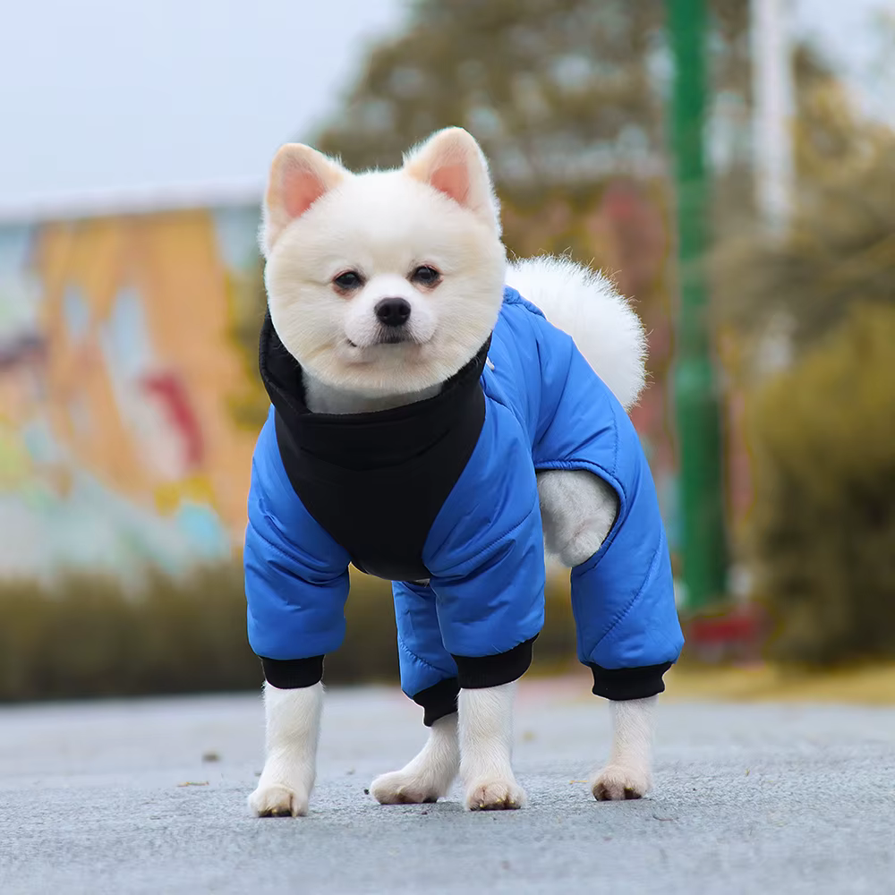 Impermeable para perros pequeños con anillo D reflectante - imagen 3
