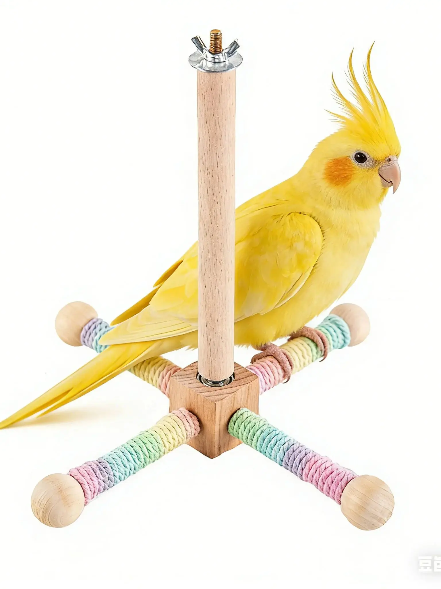 Fijación del soporte para pájaros a la jaula