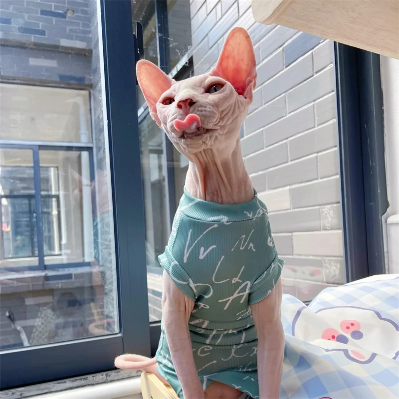 Gato jugando con el chaleco puesto