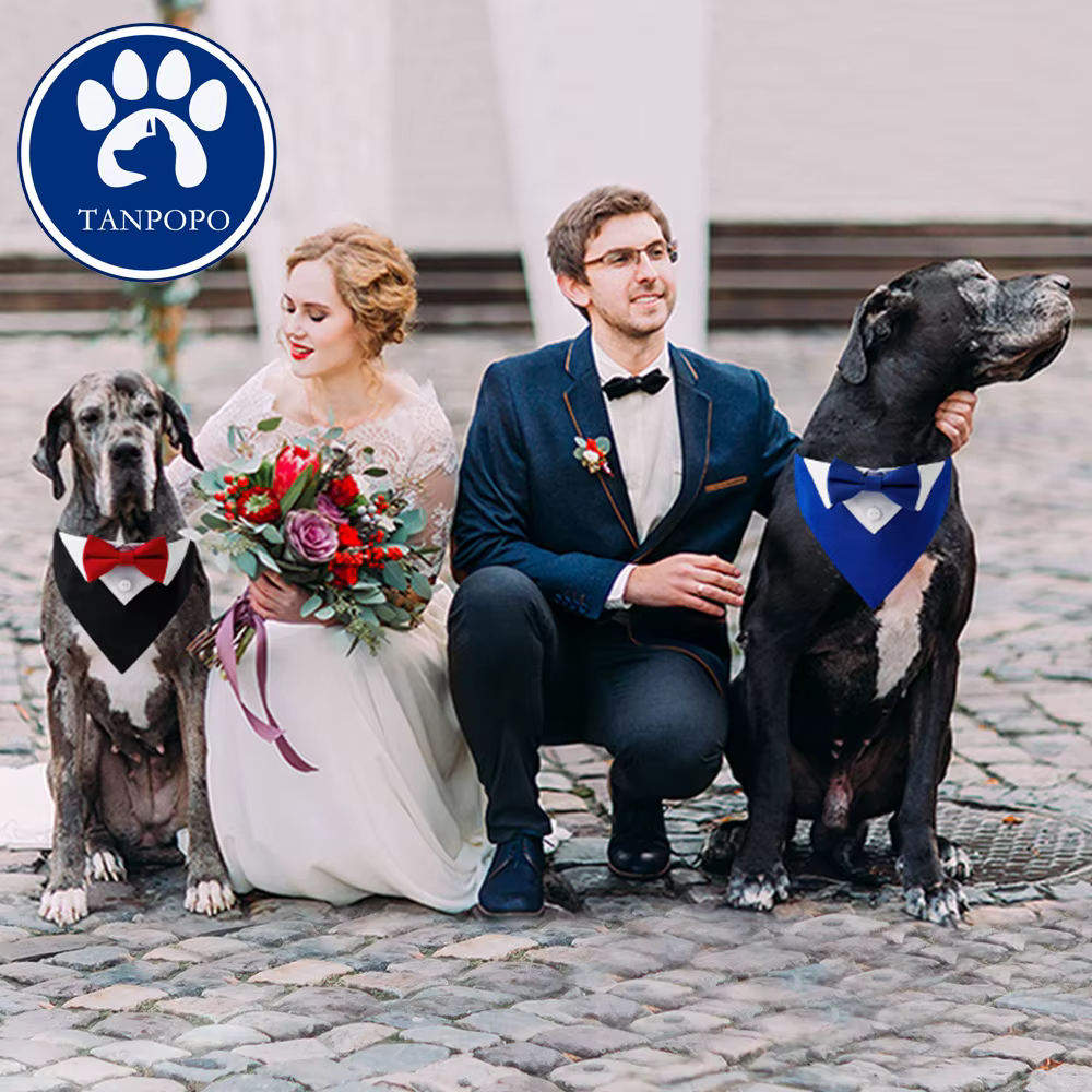 Disfraz de esmoquin para perro con pañuelo y corbata de moño - imagen 4