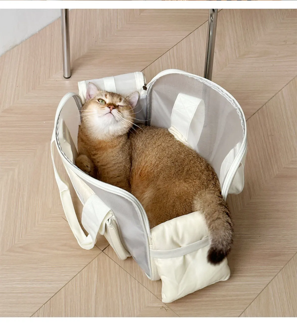 Bolsa de transporte plegable y fácil de llevar