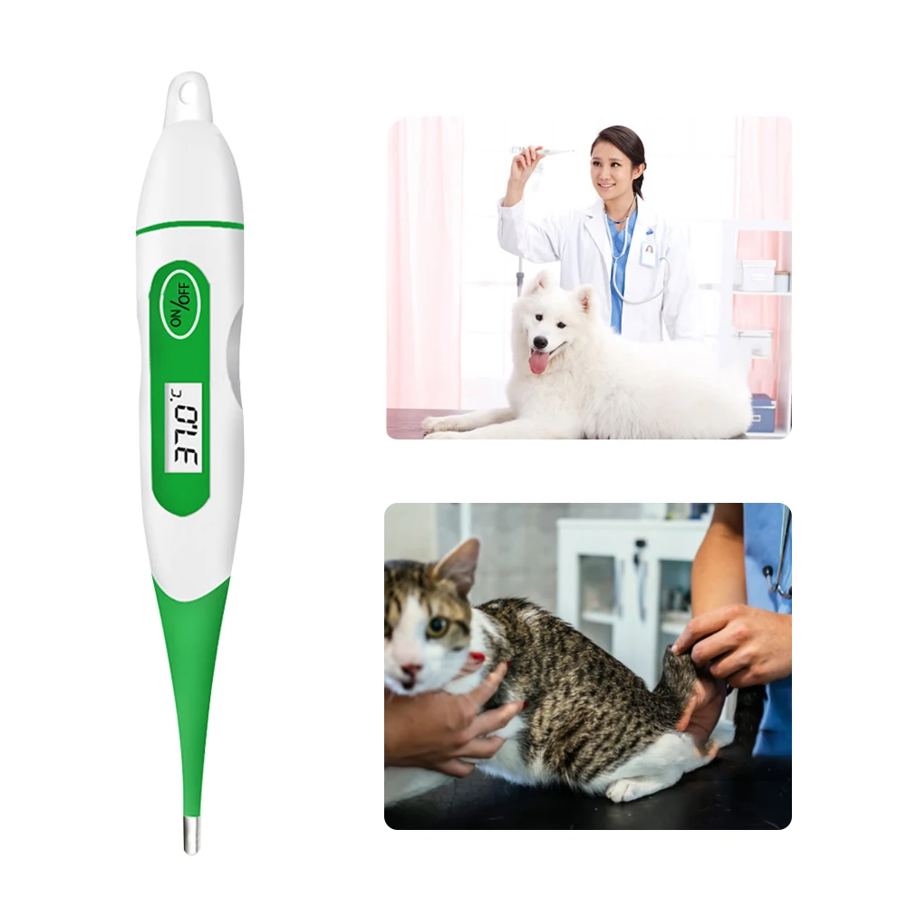Detalle del termómetro digital para animales