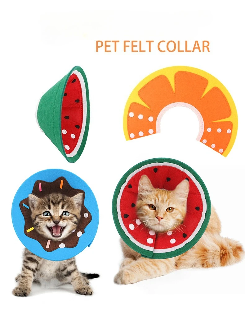 Collar Elizabeth ajustado en gato blanco