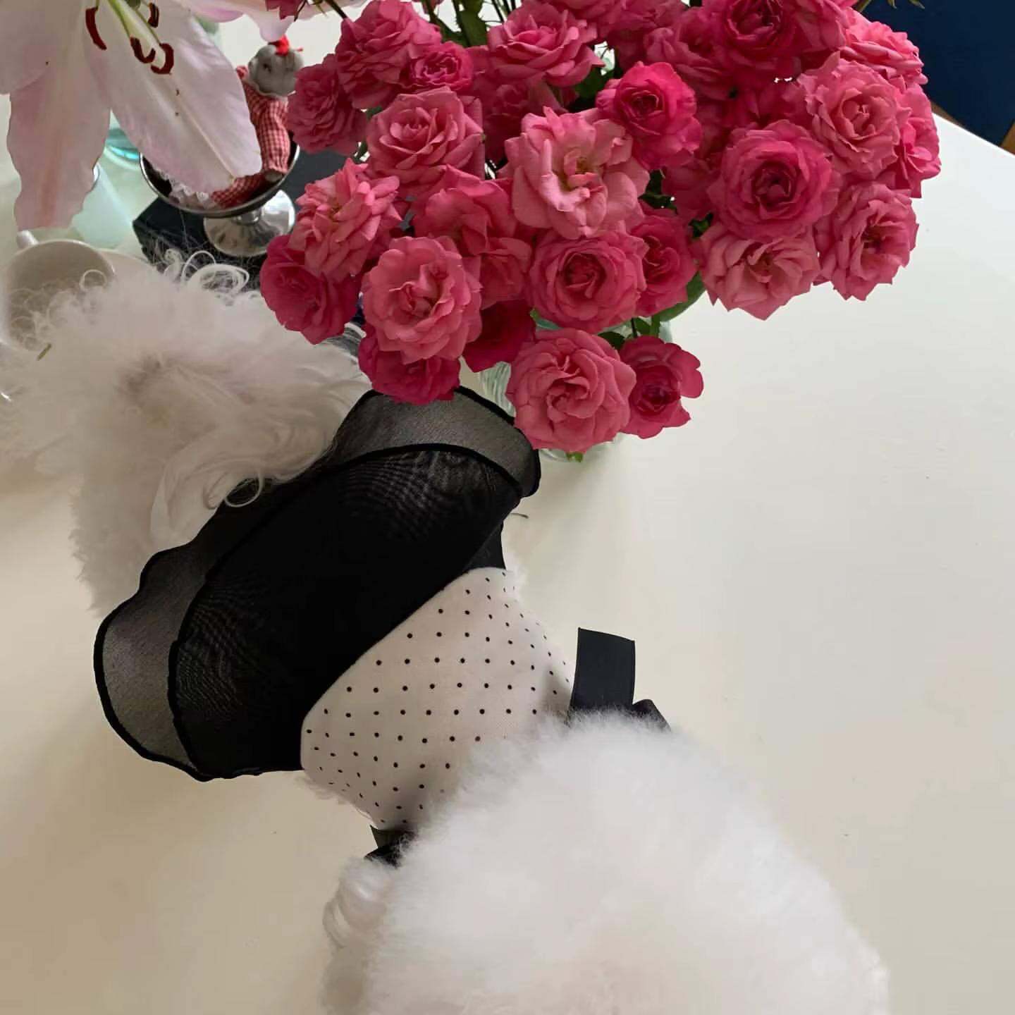 Vestido con Lazo para Perros y Gatos Pequeños