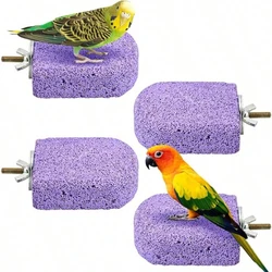 Mordedor masticable para loros y aves pequeñas – Percha enriquecida con calcio