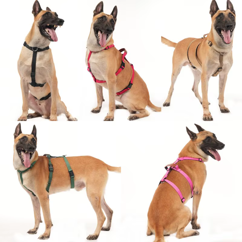 Arnés antitirones para perros grandes – Chaleco antiescape de nailon - imagen 4