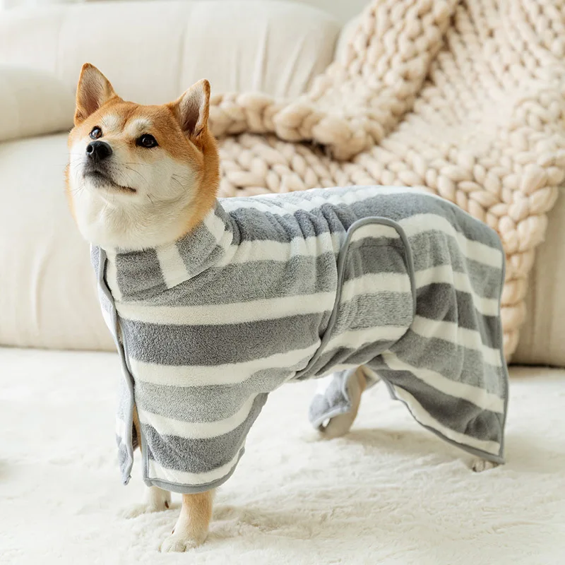 Perro usando el albornoz booteely