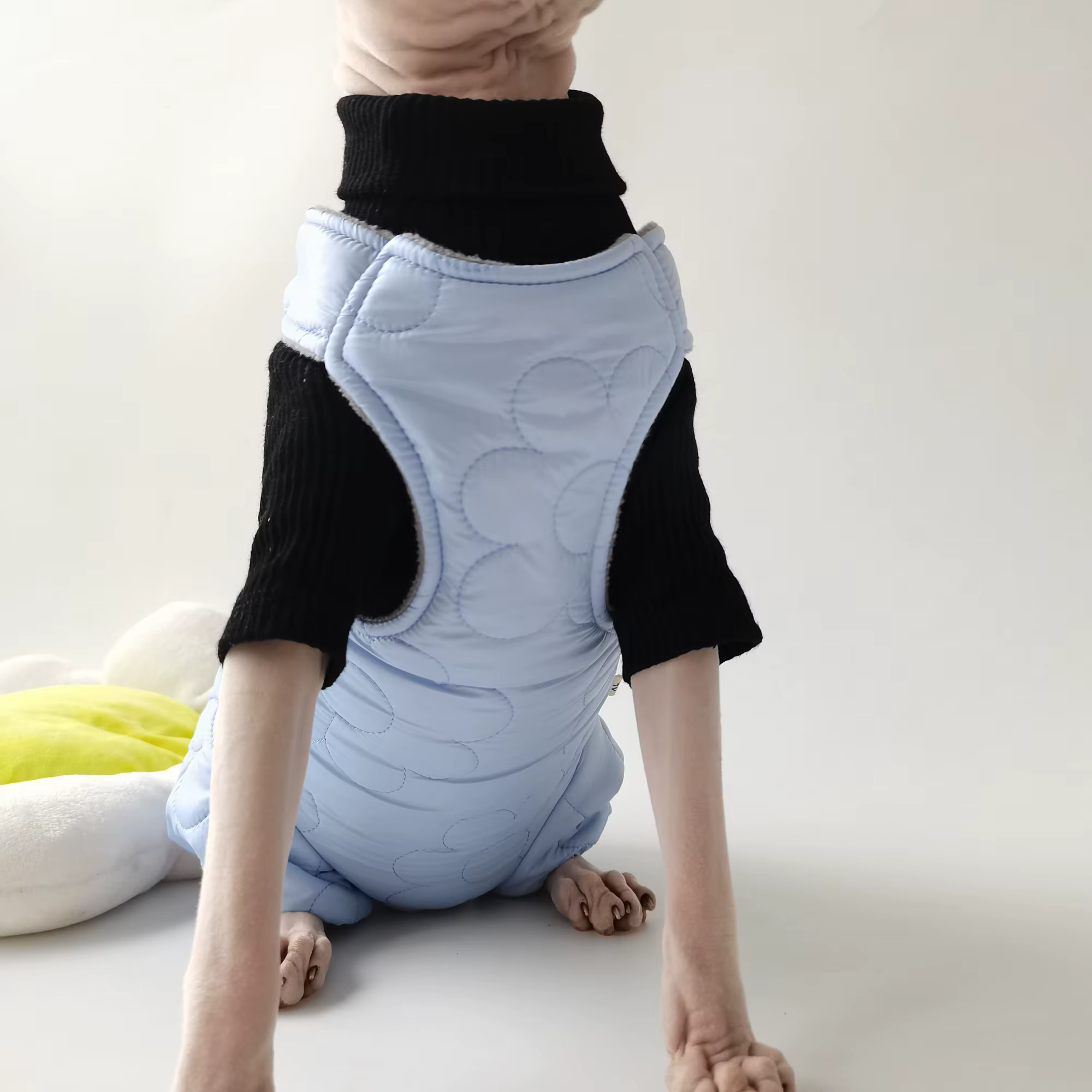 Abrigo acolchado de algodón para gatos Sphynx de invierno - imagen 3