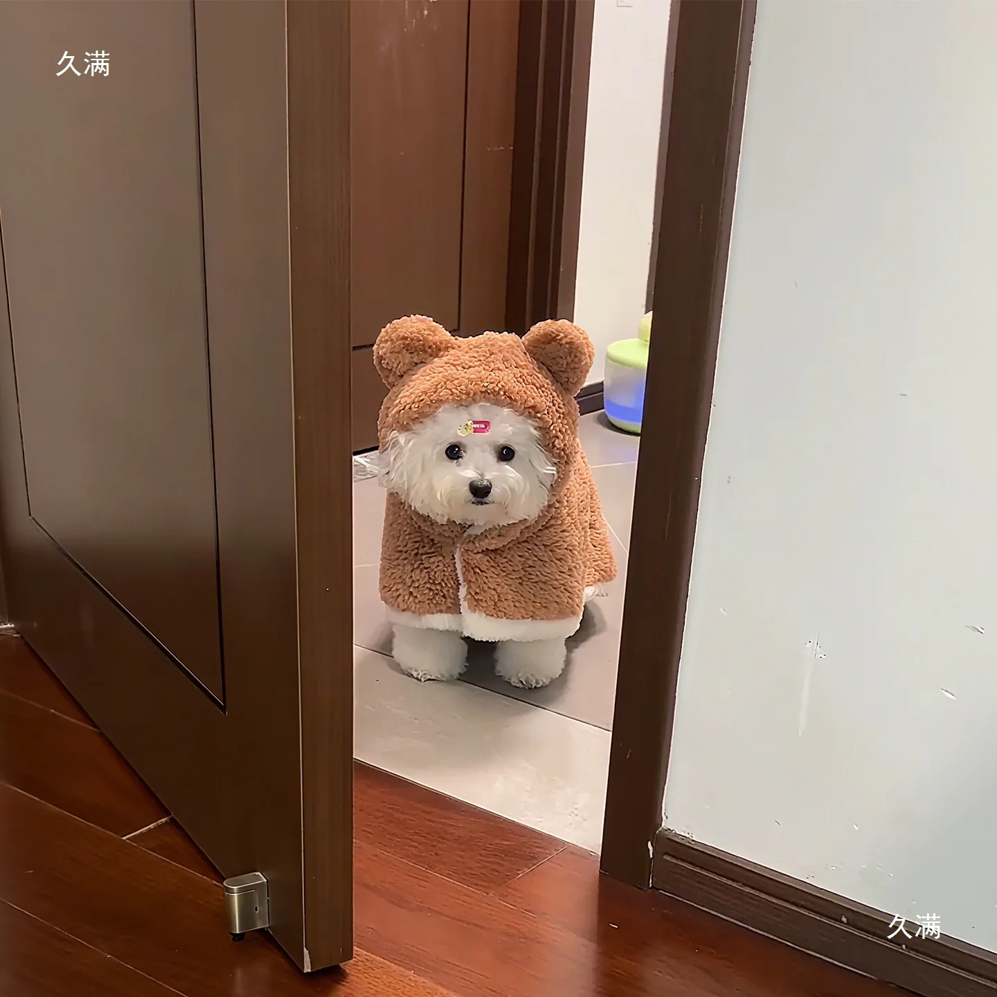 Capa de Felpa para Perros Pequeños y Gatos