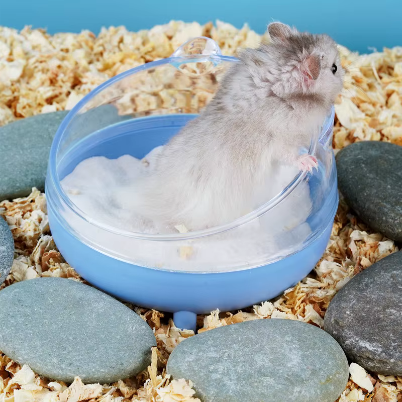 Caja de arena antisalpicaduras para hámster, chinchillas y gerbillas - imagen 5