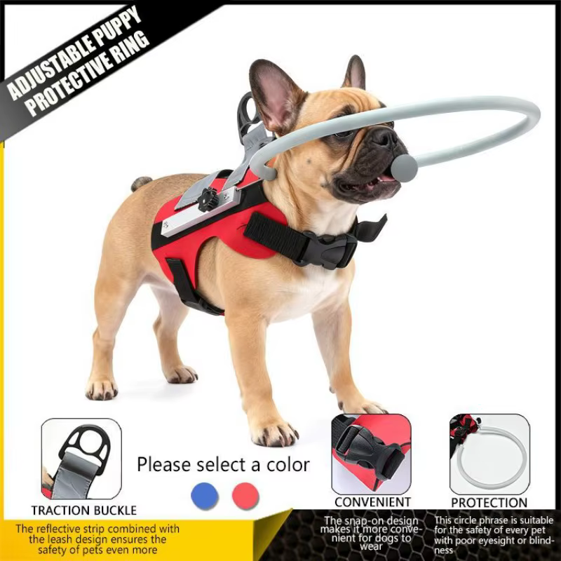 Arnés guía para perros ciegos – Protector anticolisión paseos - imagen 3