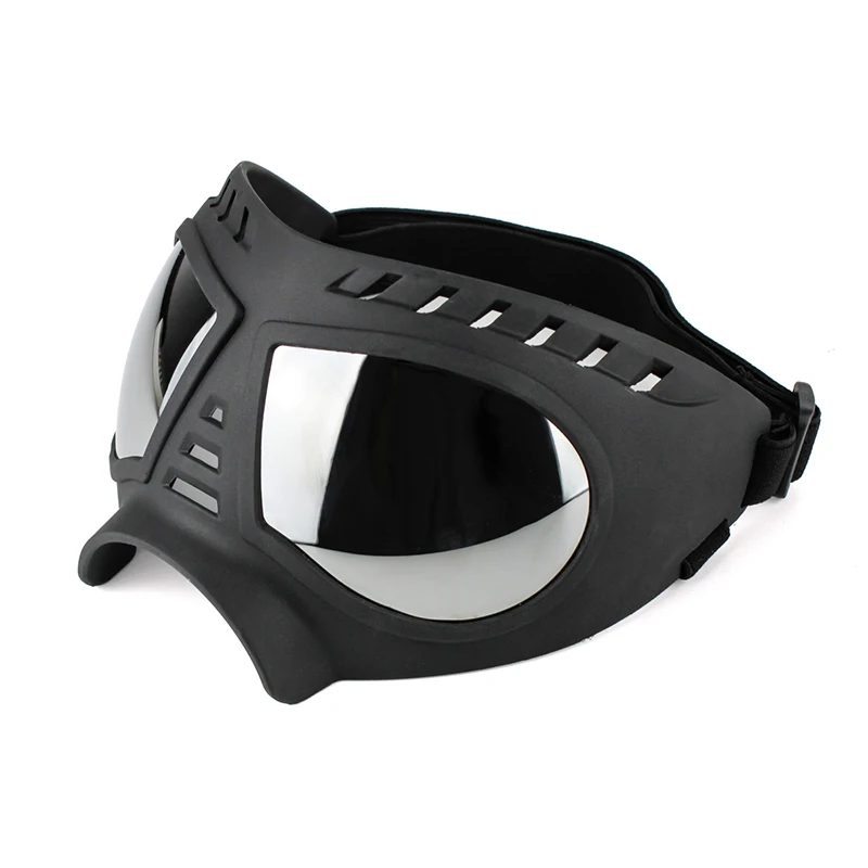 Gafas de sol para perros en uso durante un paseo
