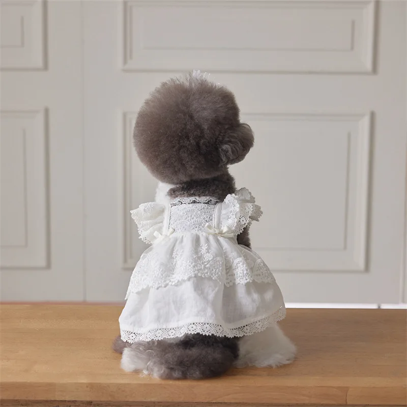 Mascota modelo usando el vestido