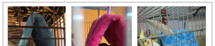 Hamaca y cabaña colgantes