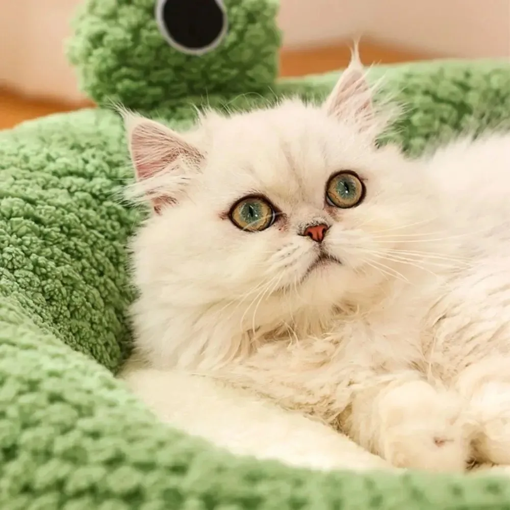 Cama redondeada de felpa con borde elevado para mascotas