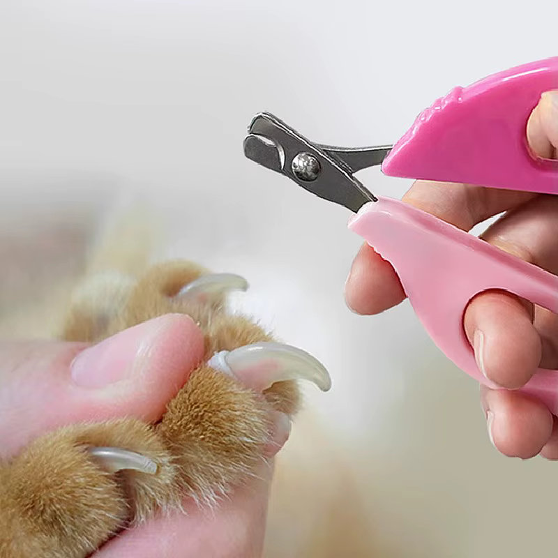 Cortauñas Acero Inoxidable para Perros y Gatos – Tijeras de Uñas para Mascotas