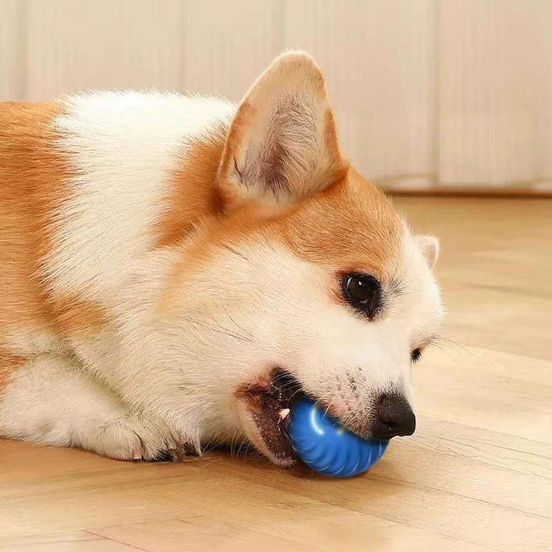 Juguete para mascotas con trayectoria de movimiento irregular