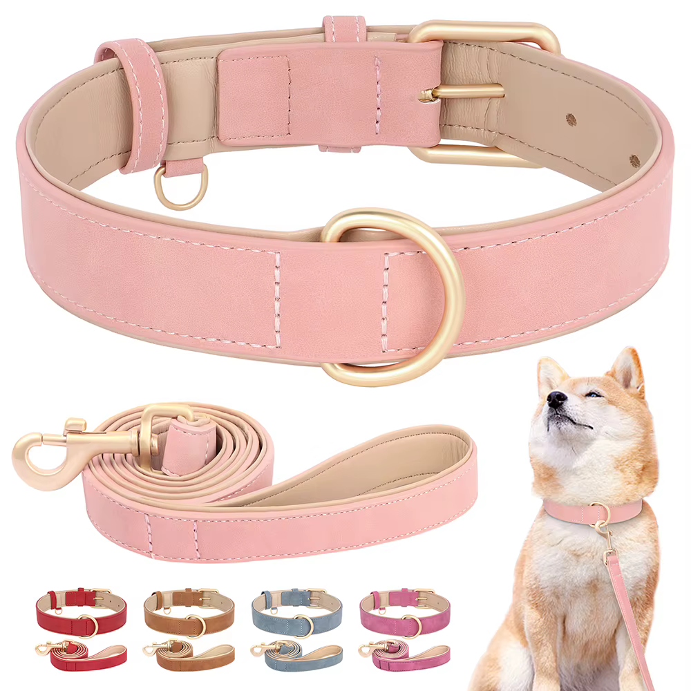 Collar acolchado con cuerda de paseo para perro
