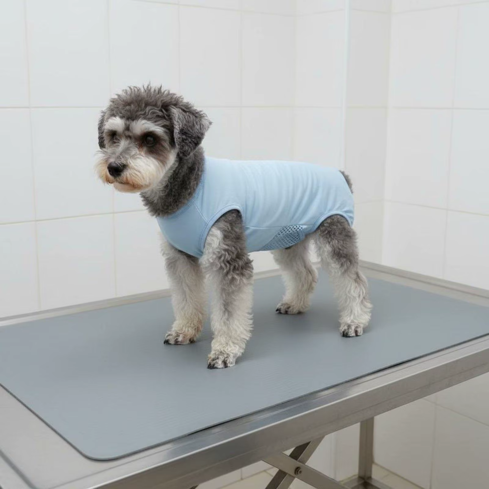 Pantalones Ergonómicos para Perros – Protege Durante Recuperación y Calor - imagen 2