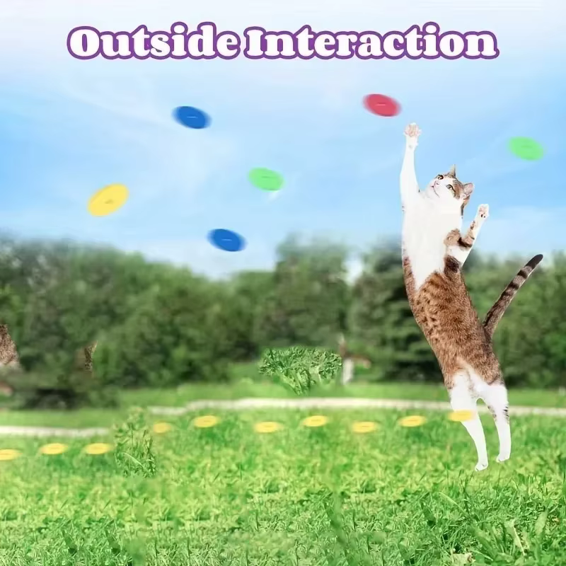 Juguete interactivo de caza: pistola nabo para gatos y perros - imagen 5