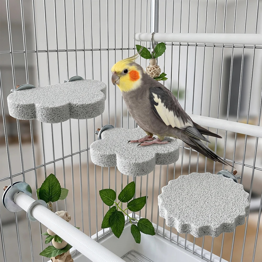 Plataforma de piedra de lava para cacatúas y periquitos, afila el pico