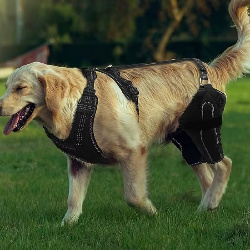 Soporte ajustable para patas traseras de perros – Funda protectora para articulaciones