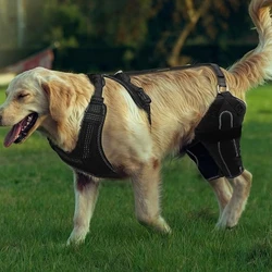 Soporte ajustable para patas traseras de perros – Funda protectora para articulaciones