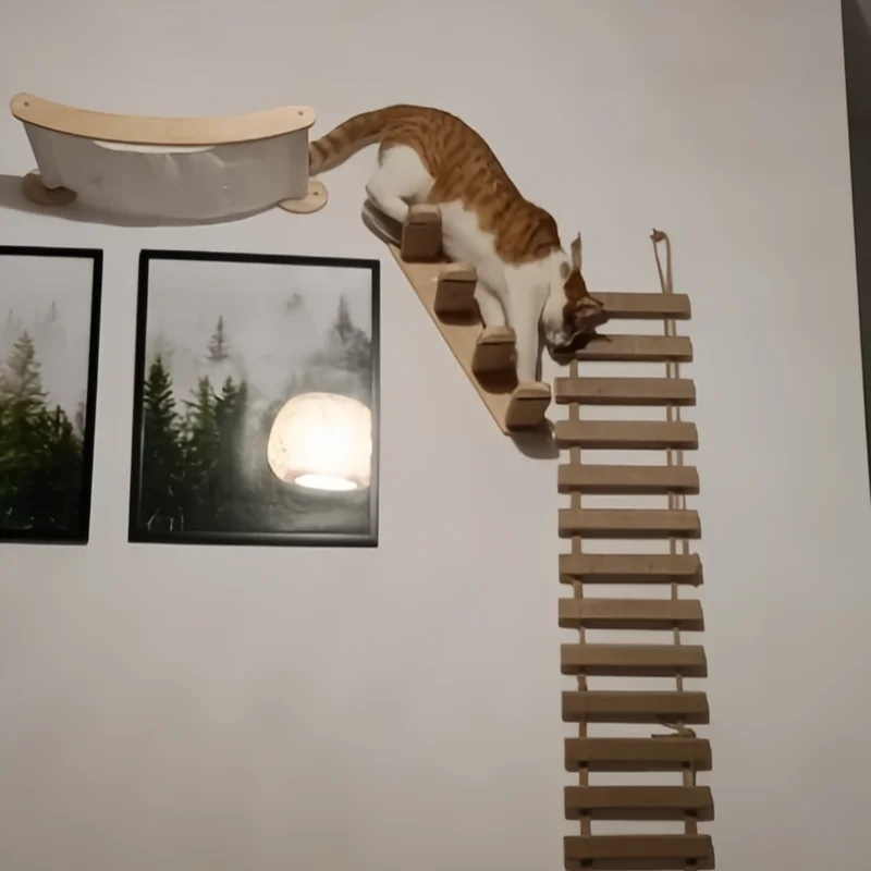 Tablero rascador de sisal para gatos