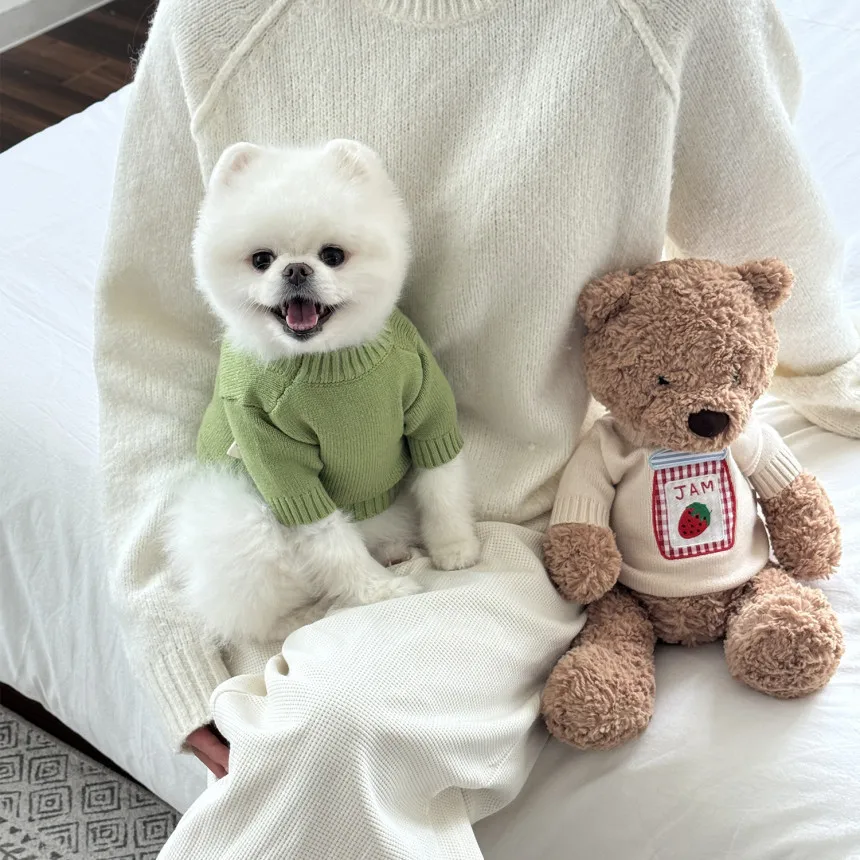 Jersey Teddy de lana gruesa para perros pequeños y gatos - imagen 3