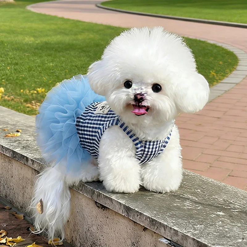 Disfraz falda tutú azul de verano para perros pequeños (Chihuahua, York y Poodle) - imagen 2