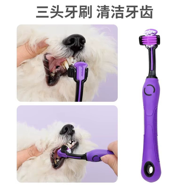 Kit de aseo para perros y gatos con peine, tijeras y cortaúñas - imagen 3