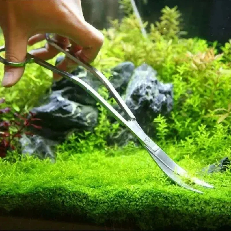 Tijeras para acuario en uso