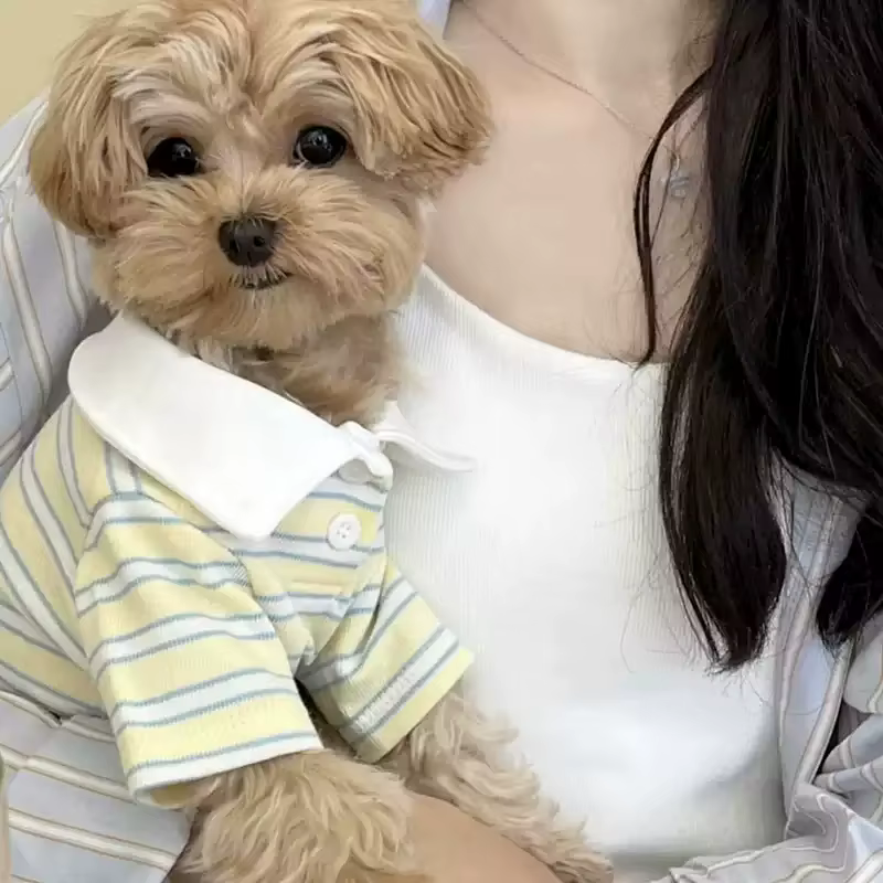Polo a rayas para perros y gatos – Camiseta ligera de verano - imagen 3