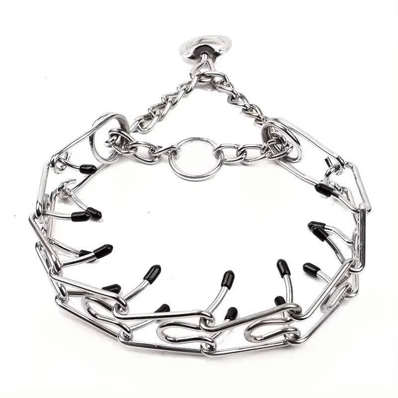 Collar en uso durante paseo con perro