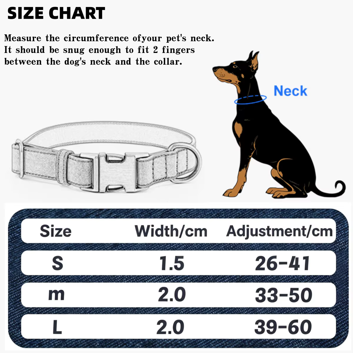 Collar de perro con nombre personalizado – grabado y ajustable - imagen 2