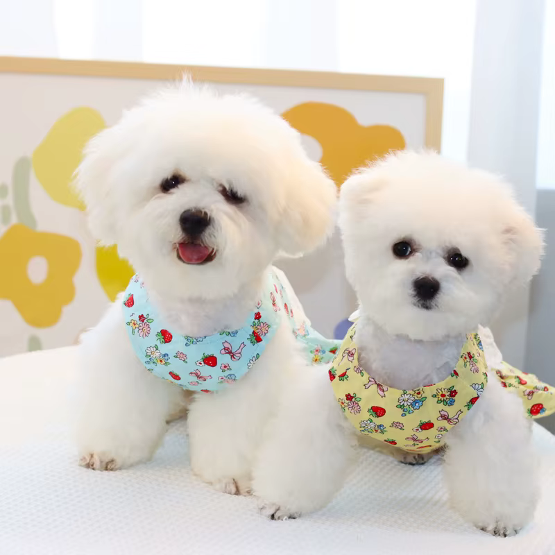 Arnés con falda floral y correa para perro – Chihuahua y Bichón - imagen 4