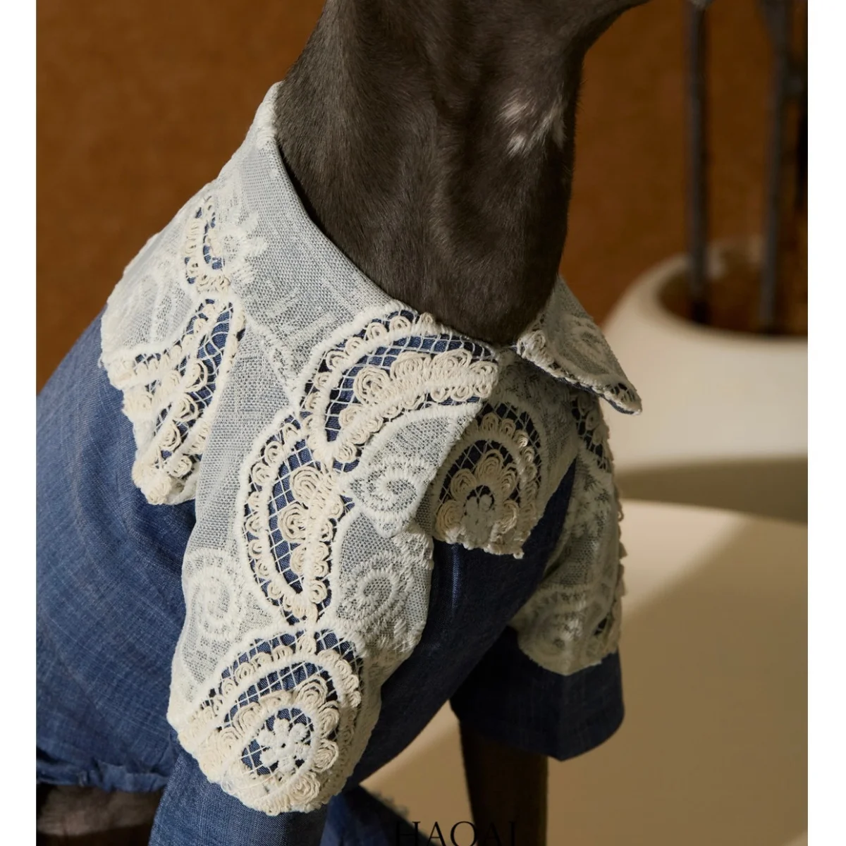 Ropa de verano para perros: mono Tencel con encaje galgo italiano - imagen 2