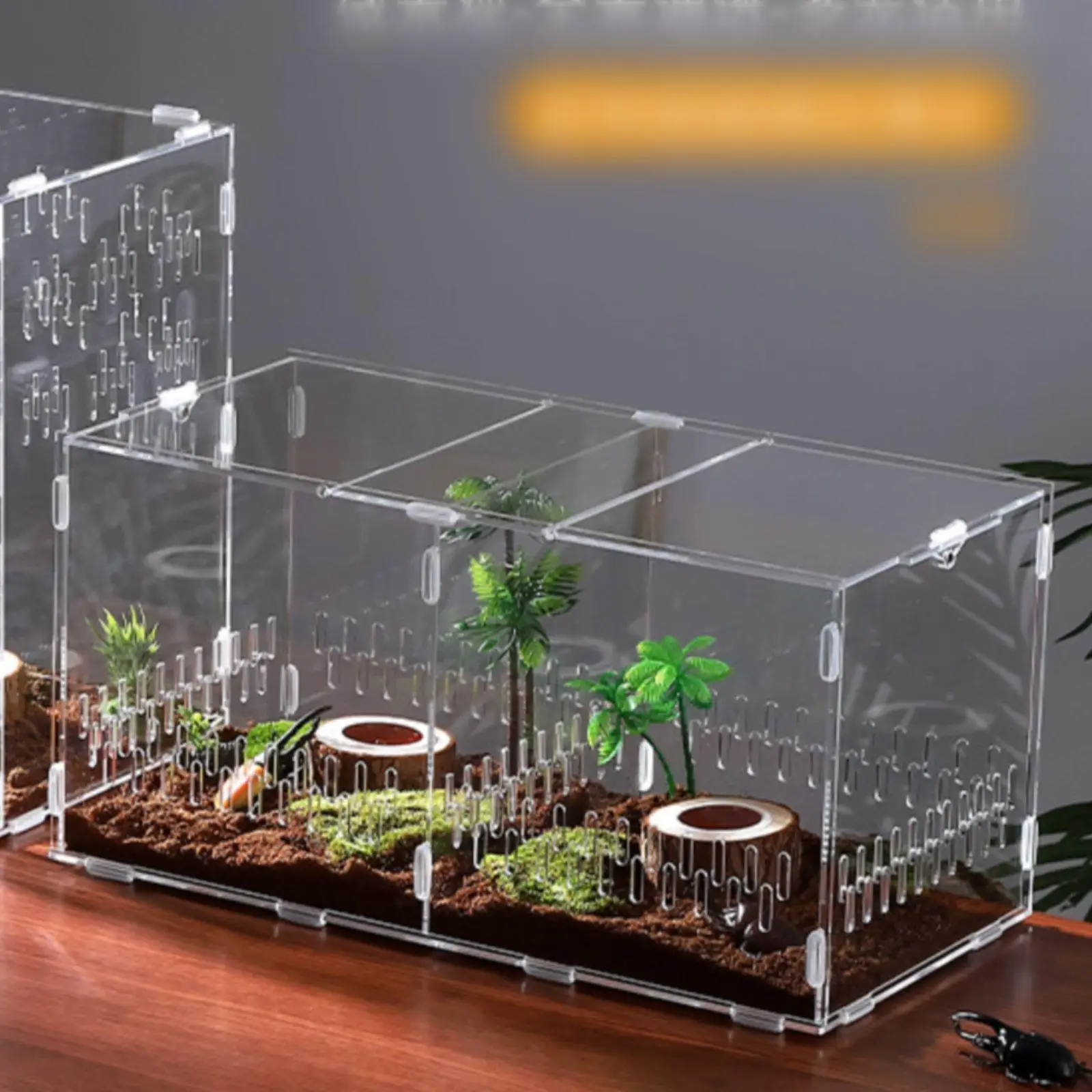 Terrario acrílico alta visibilidad para reptiles – Caja de cría segura - imagen 5
