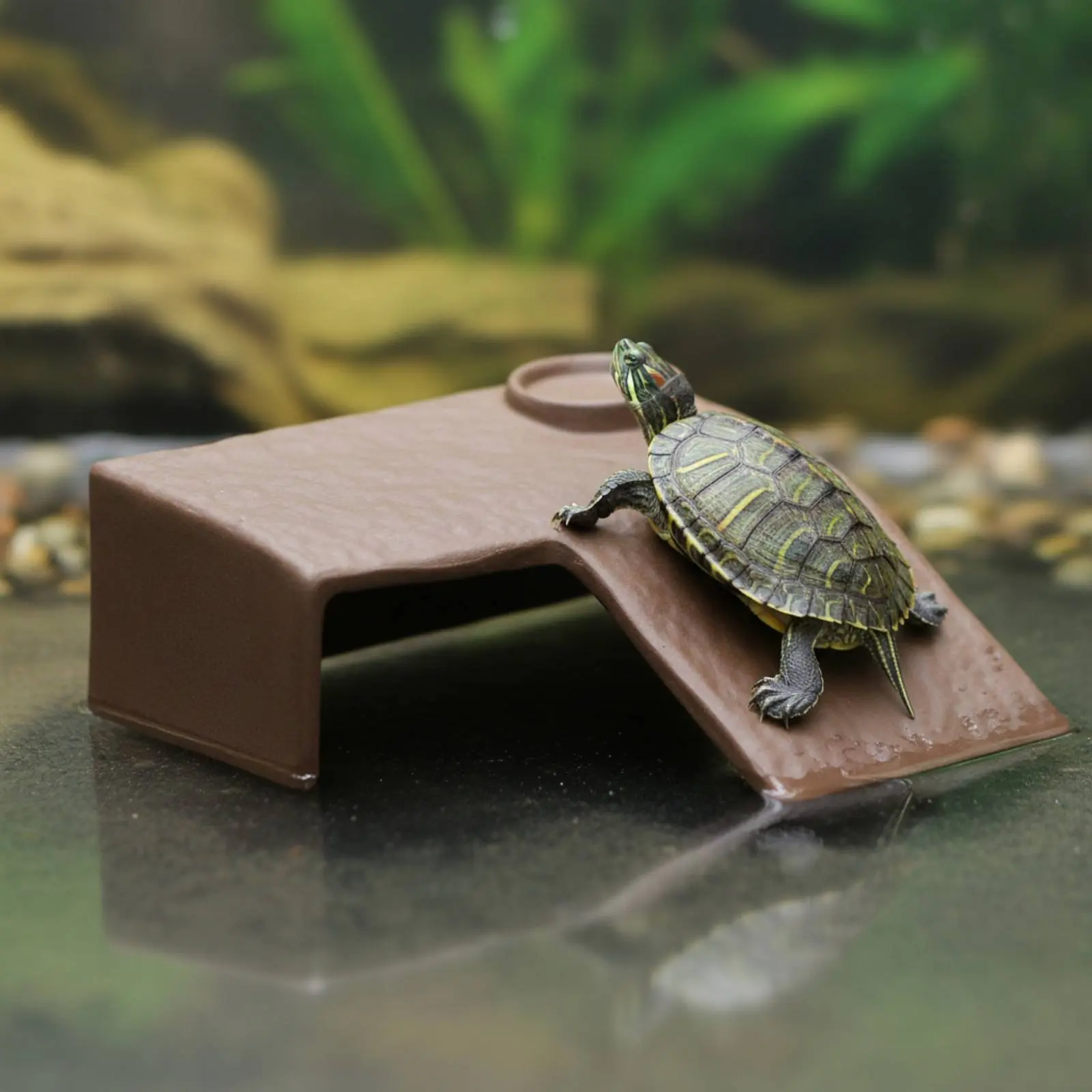 Rampa cerámica y cueva escondite 2 en 1 para tortugas de mascota - imagen 4