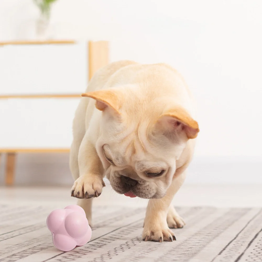 Perro jugando con pelota