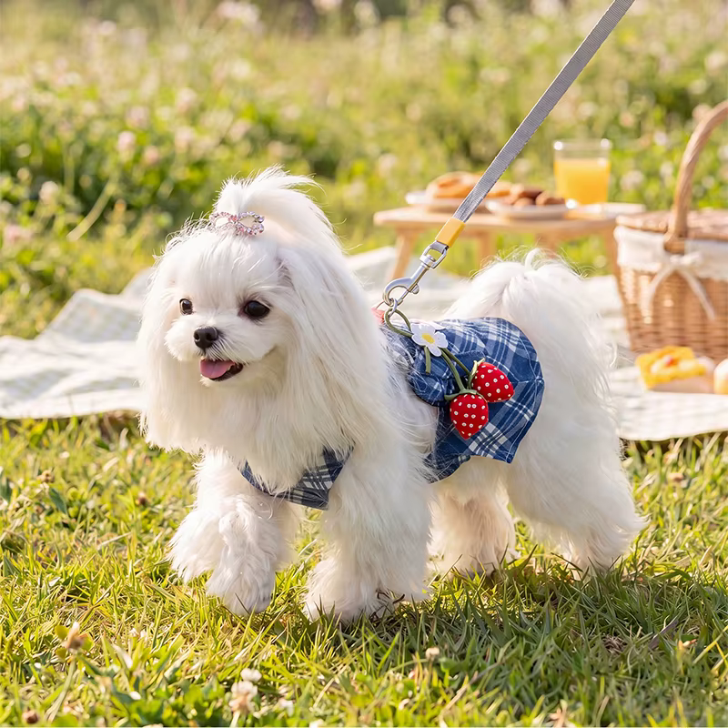 Vestido vaquero de verano con fresas para perros y gatos