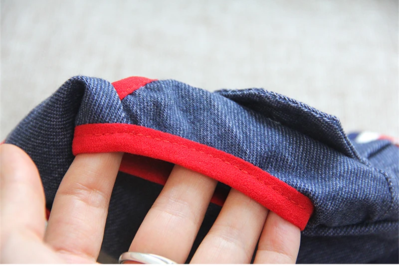 Conjunto práctico para perro