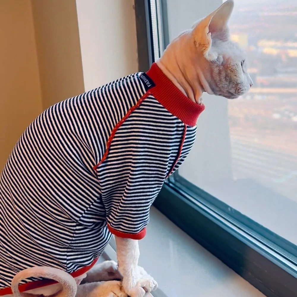 Prenda de moda para gatos