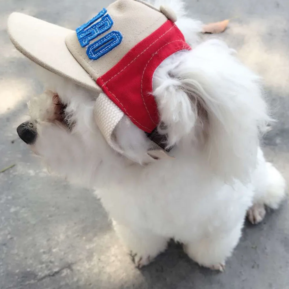 Gorra deportiva con letras para perro
