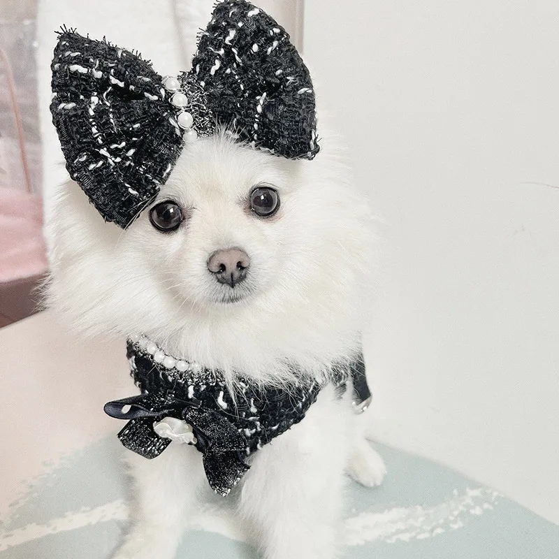 Perro pequeño con vestido de princesa