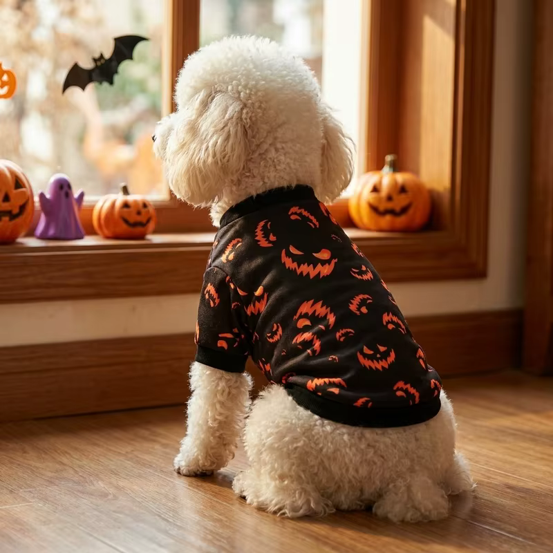 Disfraz de Halloween Calabaza para Perro y Gato